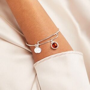 Alex and Ani Topaz Birthstone Charm Bangle